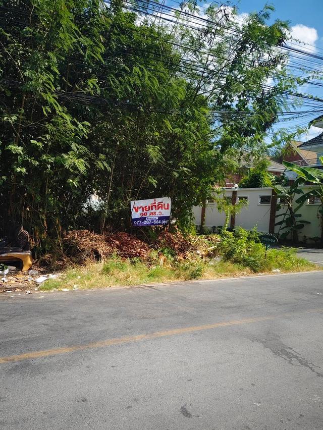 ขานด่วนค่ะ !!! ที่ดิน หมู่บ้านสหพร ใกล้ ม.มหิดล ศาลายา 1