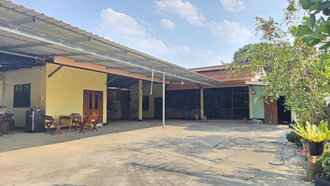 บ้านพร้อมที่ดิน อ.เวียงป่าเป้า จังหวัดเชียงราย 2