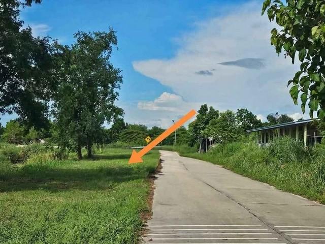 ขายที่ดินสวยใกล้อมตะนครชลบุรี ที่ดินอยู่ใกล้โครงการหมู่บ้านและโรงงานอุตสาหกรรมอมตะนคร ❇️บนเนื้อที่ 10 ไร่ 1
