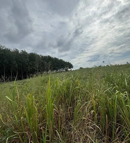 ขายที่ดินนิคมพัฒนาระยอง ขายที่ดินระยองทำเลดีเนื้อที่ 9 ไร่ พิกัด ซอย 13 สาย 7 อ.นิคมพัฒนา จ.ระยอง ผัง สีม่วงลาย 3