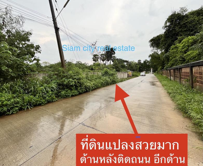 ทีดินพร้อมสิ่งปลูกสร้าง เป็นสำนักงาน โกดังสินค้า บ้านพักคนงาน และสวนผลไม้ 19