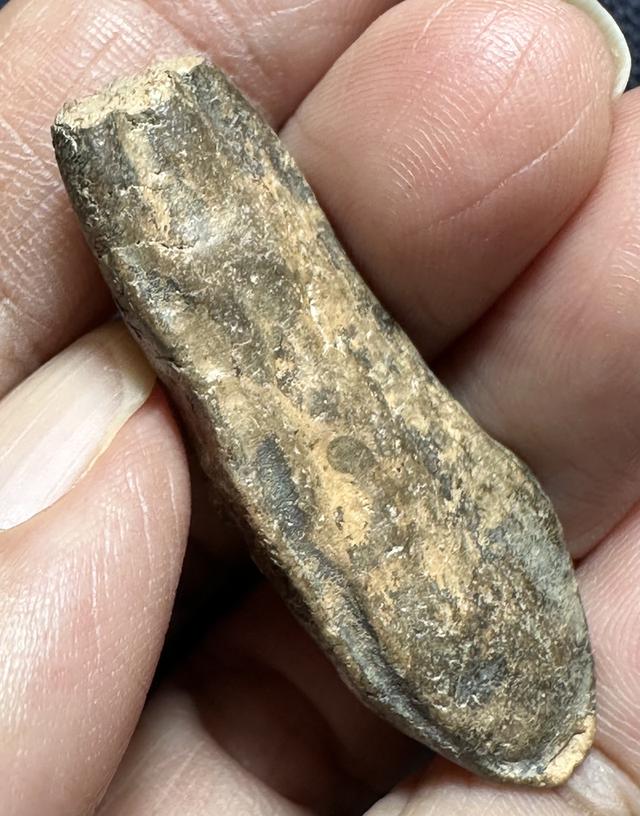 พระลีลากลีบจำปา พระหักเดิม 5