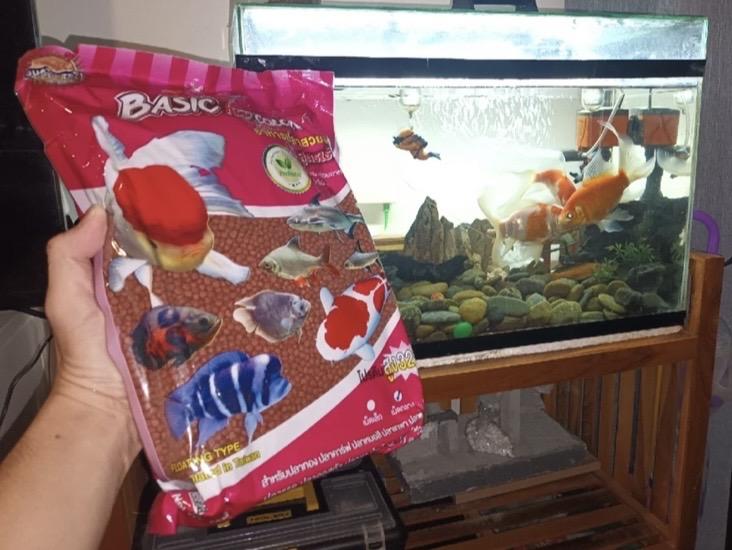 อาหารปลา Okiko Basic