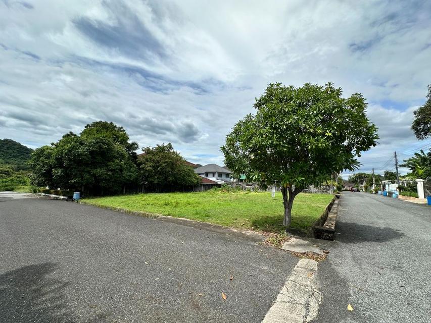 ขายที่ดินถมแล้ว ในหมู่บ้านสหกรณ์ไทยออยล์ 2 แปลง 204 ตร.วา แปลงใหญ่ ติดถนนสายหลัก ศรีราชา ชลบุรี 7