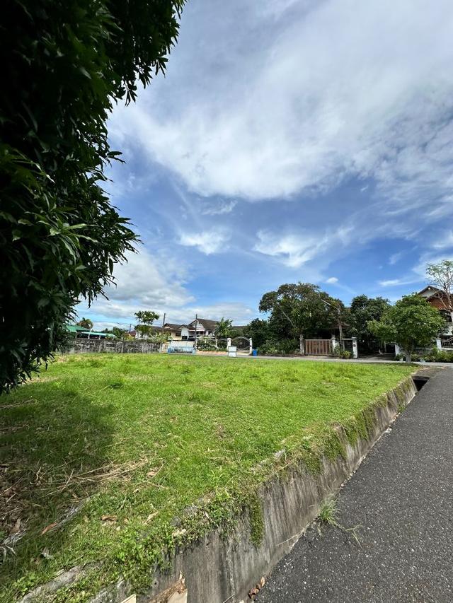 ขายที่ดินถมแล้ว ในหมู่บ้านสหกรณ์ไทยออยล์ 2 แปลง 204 ตร.วา แปลงใหญ่ ติดถนนสายหลัก ศรีราชา ชลบุรี 10