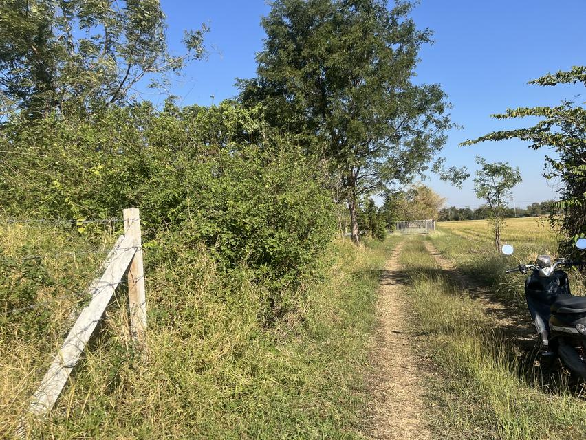 ขายที่ดิน1ไร่2งาน ใกล้คลังน้ำมัน เสาไห้ จ.สระบุรี 10