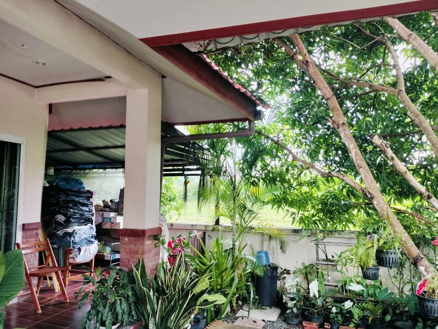 บ้านเดี่ยวโครงการบ้านหน้าสวนละงู จังหวัดสตูล 4