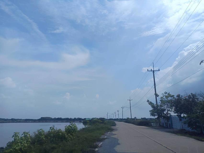 ขายที่ดิน ท่าข้าม บางขุนเทียน เหมาะทำนากุ้ง 383.4 ตร.วา ราคาถูกเพียง 9.9 แสน 5