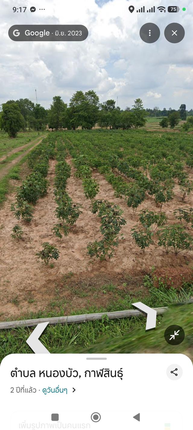 ที่ดิน  10ไร่  บ.หนองบัวกลาง อ. นามน จ. กาฬสินธุ์ 1