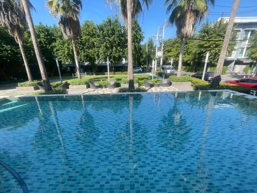 ขายทาวน์โฮม 3 ชั้น บ้านกลางเมือง–รัตนาธิเบศร์ พร้อมเข้าอยู่ ราคาดีสุดในโครงการ ทำเลดี ใกล้ MRT แยกนนทบุรี เพียง 1 กม. 12