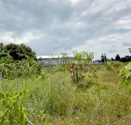 ที่ดิน ใกล้ถนนพิษณุโลก-หล่มสัก อ.วังทอง จ.พิษณุโลก 7