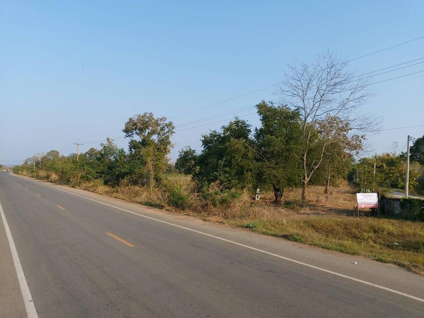 ที่ดินอำเภอหนองไผ่ จังหวัดเพชรบูรณ์ 1
