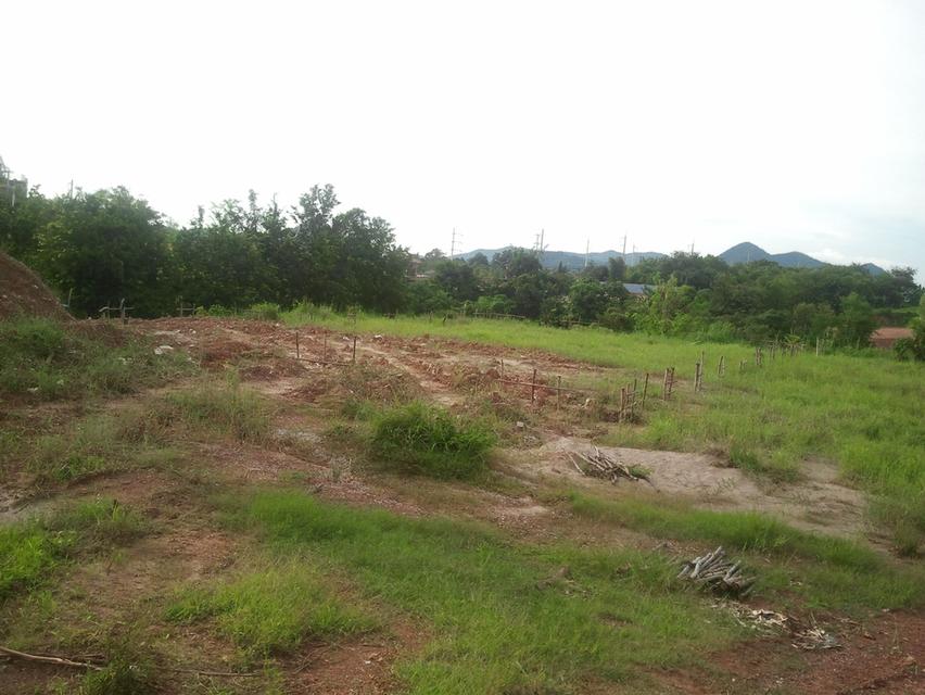 ที่ดินจังหวัดเลย ทำเลสวยตรงข้ามราชภัฏจังหวัดเลยมีถนนเข้าถึงที่เป็นเนินเข้าปรับเป้นขั้นบันไดไว้แล้วพร้อมสร้างอพราต์เม้นท 3