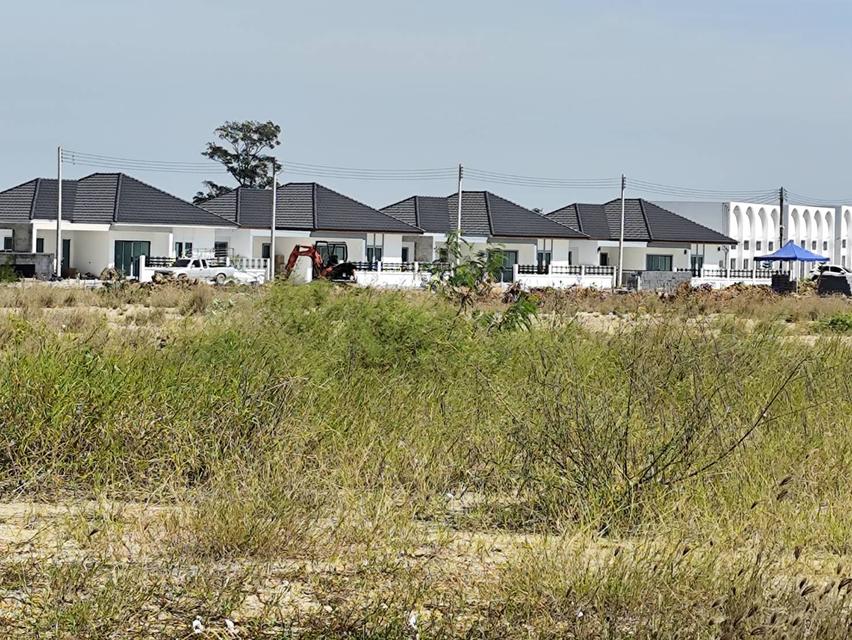 ขายที่ดินเปล่าแปลงใหญ่ กำแพงแสน 9 ไร่กว่าแบ่งขายได้ นครปฐม ทำเล สงบ ใกล้ ม เกษตร กำแพงแสน  ขายที่ดินเปล่า แปลงธรรมชาติ แบ่งขายได้ หรือซื้อยกแปลงได้ 5- 5