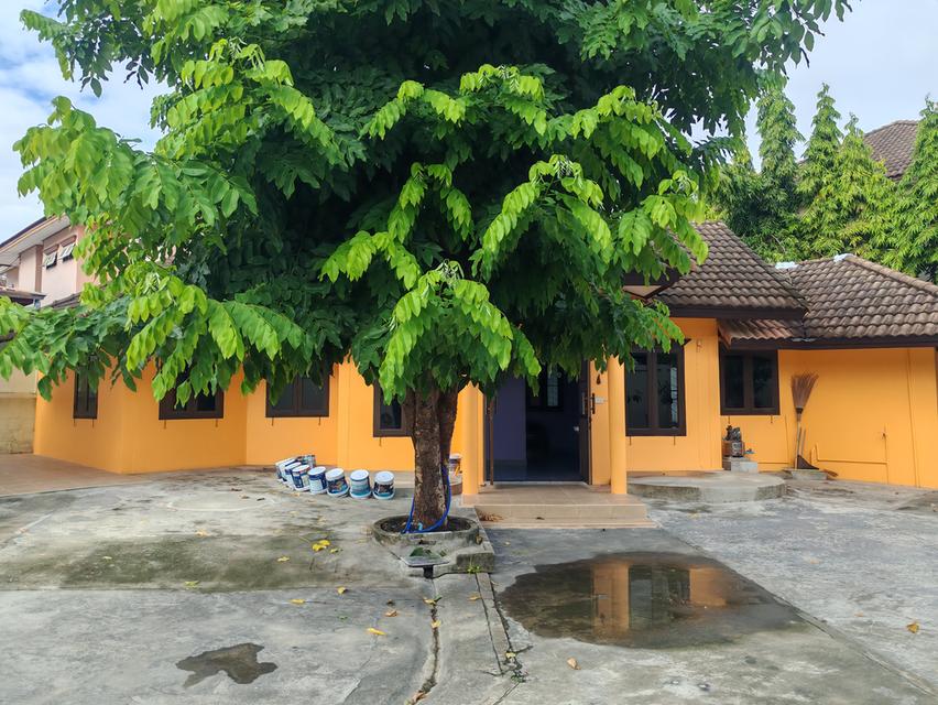บ้านเช่าแถวหมู่บ้านเศรษฐกิจ​ บางแค 5