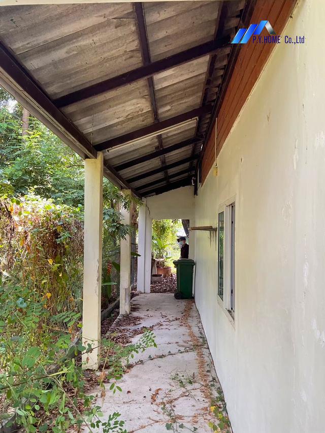 ขายด่วน! ที่ดิน 106ตร.ว. พร้อมบ้านชั้นครึ่ง รังสิต–นครนายก คลองสิบ ธัญบุรี 14