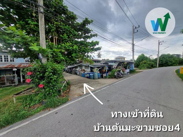 ขายที่ดินแปลงใหญ่ ศิลาดาน มโนรมย์ ชัยนาท 8ไร่ 2 งาน 49 ตร.ว. มีน้ำไฟพร้อม ใกล้ถนนพหลโยธิน 2
