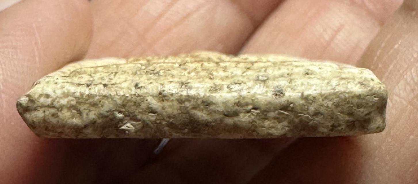 พระสมเด็จพิมพ์ใหญ่พิมพ์ใหญ่พระประธาน 8