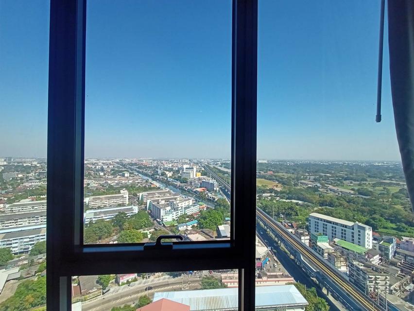 ปล่อยเช่า คอนโดเซียล่า ศรีปทุม 7