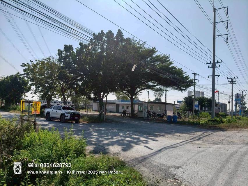 ขายที่ดินลาดหลุมแก้ว 100 ตรว ติดถนนคอนกรีตสาธารณะ ถมแล้ว ถ.ปทุมธานี-บางเลน(346) จ.ปทุมธานี 7