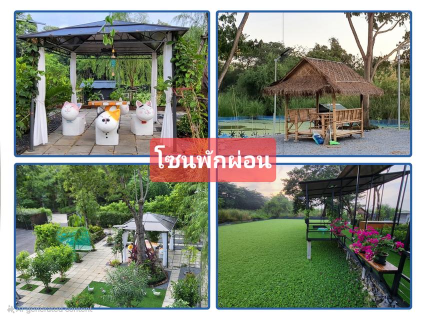 ขายต่ำกว่าทุนหลายล้าน บ้านน่ารักพร้อมสวนเกษตรรีสอร์ทเกือบ 2 ไร่ อ.นครชัยศรี 3.9 ล้าน 2
