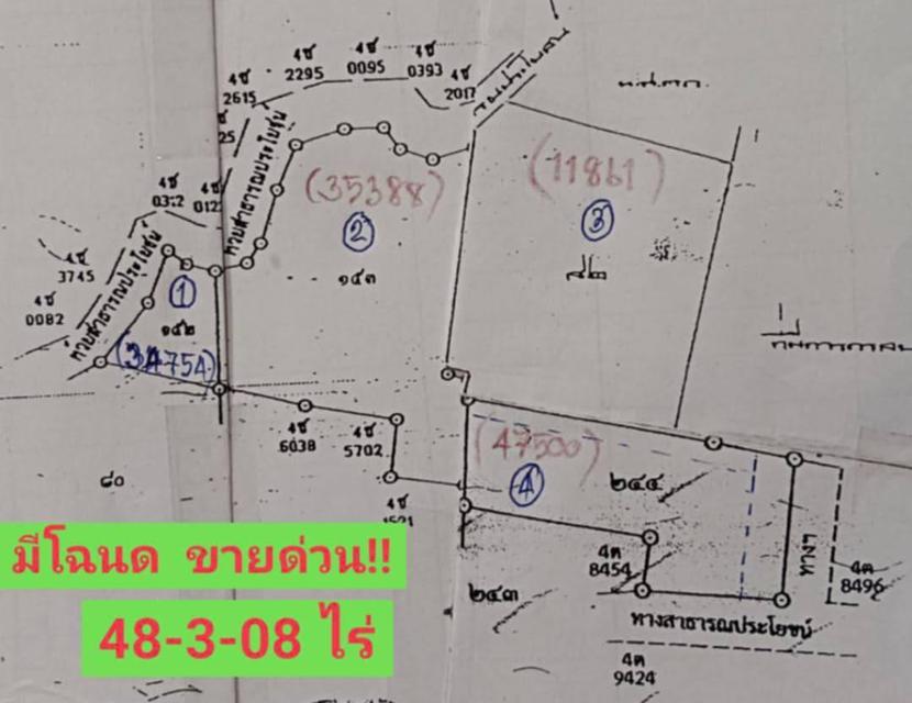 ขายที่ดิน 48 3 08 ไร่ 2