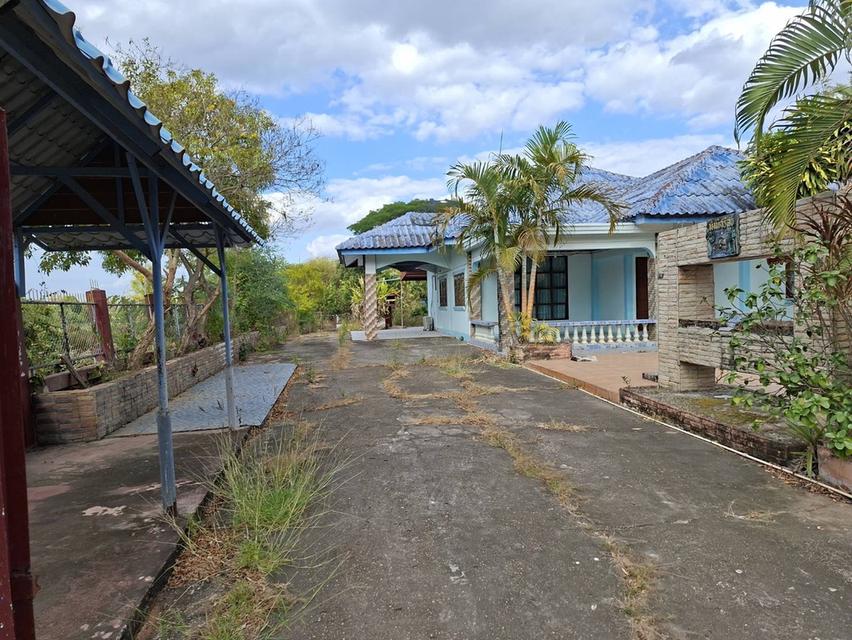 ซื้อบ้านราคาดีที่สุดวันนี้ดีกว่าไปซื้อบ้านแพงๆวันหน้า 1