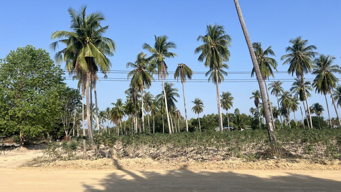 ที่ดินราคาถูกห้วยใหญ่พัทยา 4