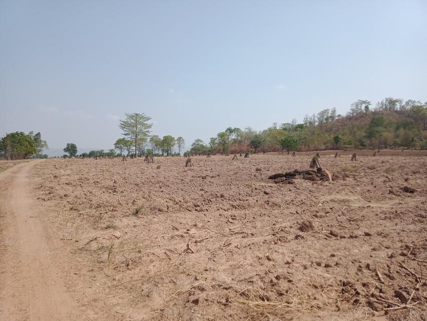 ขออนุญาตครับขายที่ดิน ภดส.11 จำนวน 500กว่าไร่ 8