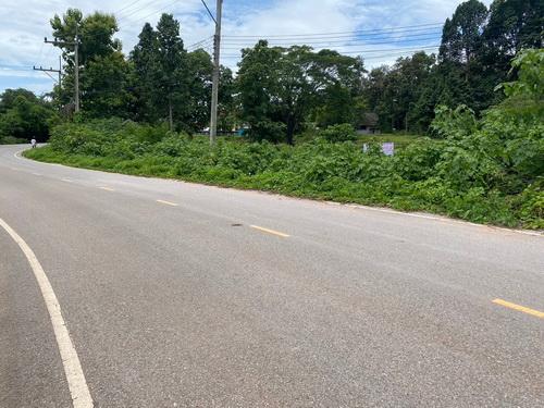 ขายที่ดิน 3-1-59 ไร่ เชียงราย – ทำเลดี ติดถนนลาดยาง เหมาะสร้างบ้าน & เกษตรกรรม 2
