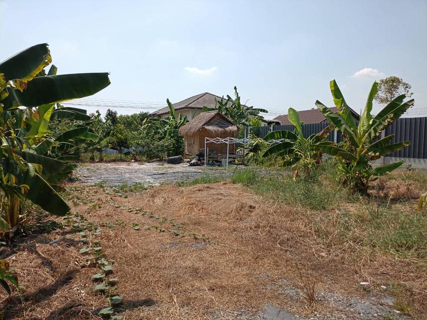 ที่ดิน 200 ตร.ว เจ้าของขายเอง 1