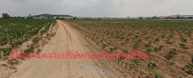 ขายที่ดิน เนื้อที่ 16 ไร่ พื้นที่ม่วงจุดขาว มาบยางพร ใกล้นิคมอุตสาหกรรมอีสเทิร์นซีบอร์ด ระยอง