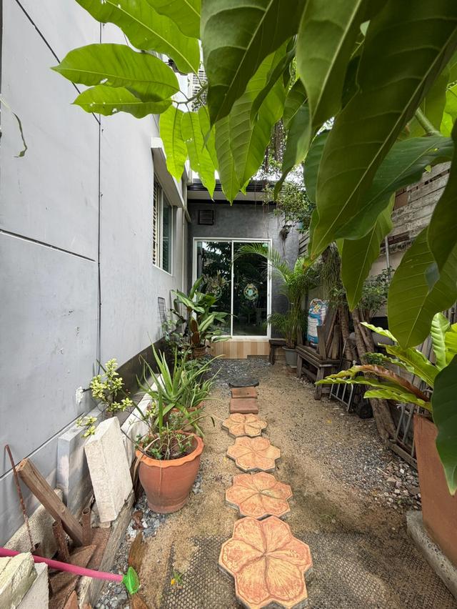 บ้านจัดสรร (บ้านเดี่ยว) 6
