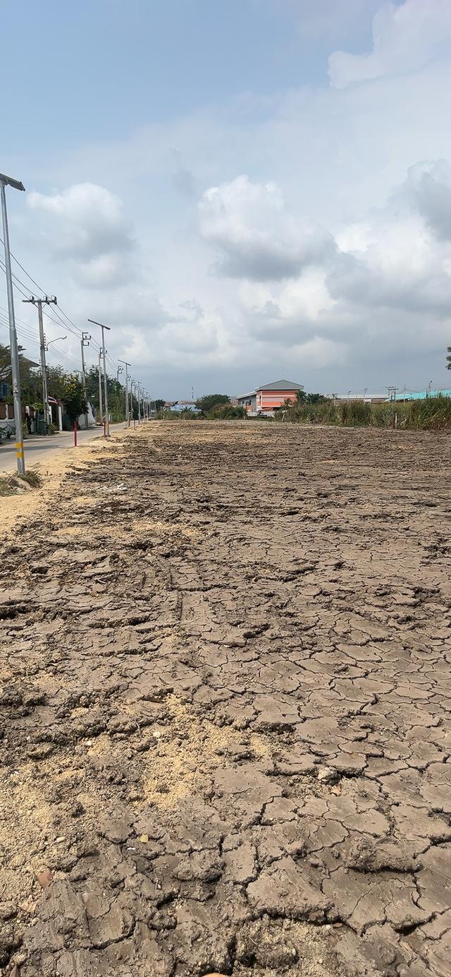 ขายที่ดินถมแล้ว 90 ตรว. ราคาถูกสุดในย่านนี้ ทำเลดีมาก ใกล้ตลาด เข้าออกสะดวก พร้อมใช้งานทันที 4