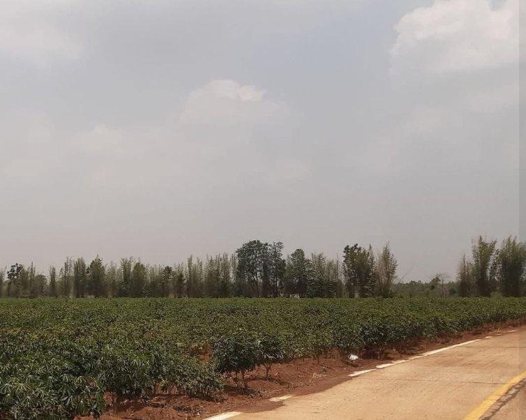 ขายที่ดินกรอกสมบูรณ์ 19 ไร่ ใกล้ถนนสี่เลนสระแก้ว-เขาหินซ้อน359-250เมตร อ.ศรีมหาโพธิ ปราจีนบุรี 3