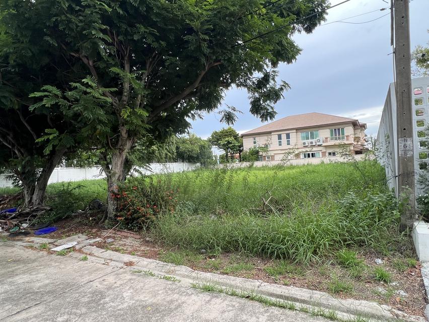 ที่ดินกรีนวัลเล่ 281 ตรว 2