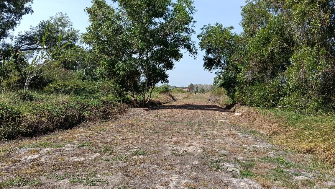 ที่ดิน อำเภอแกลง จังหวัดระยอง 4