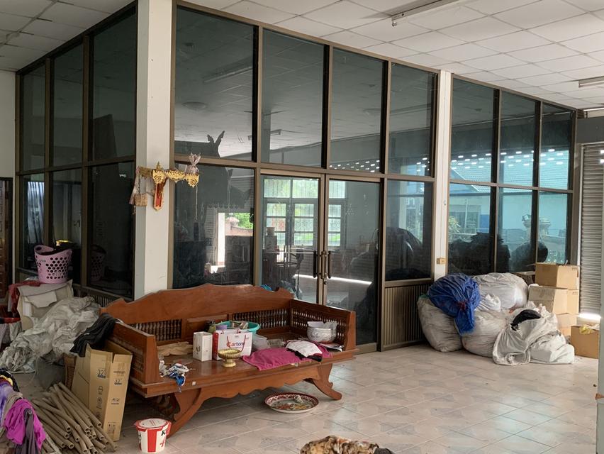 ขายที่ดินพร้อมโกดัง ด้านหน้าติดถนน ม.2 ต.ป่าซาง ออ.ป่าซาง จ.ลำพูน 19