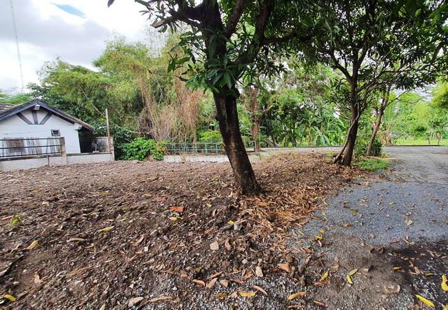 ขายที่ดิน พร้อมสิ่งปลูกสร้าง ถนนประชาราษฎร์สาย 1 ซอย 10 บางซื่อ กรุงเทพมหานคร 4