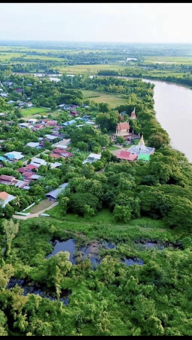 ที่ดิน 7 ไร่ 52 ตารางวา เสลภูมิ ร้อยเอ็ด 1