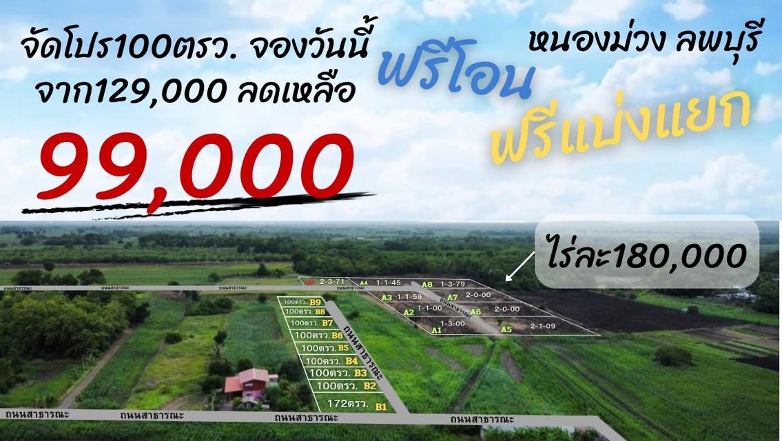 ที่ดินหนองม่วง จ. ลพบุรี 1