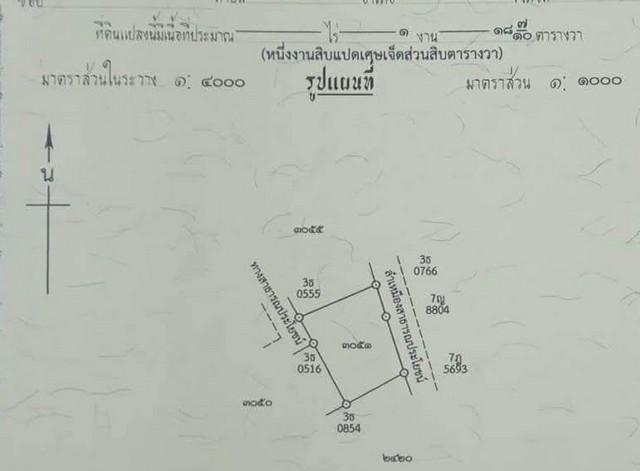 ขายที่ดินสวนลำไย 118.7ตรว. 826,000บ. ฟรีโอน ถมดินแล้ว น้ำประปา ไฟฟ้า ถนนคอนกรีต ใกล้บ้านถวาย ต.ขุนคง อ.หางดง เชียงใหม่ 4