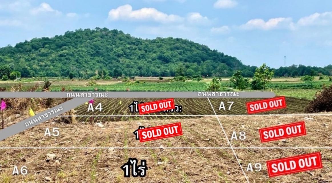 ที่ดิน หนองม่วง ลพบุรี ตรวาละ 375 บาท 10