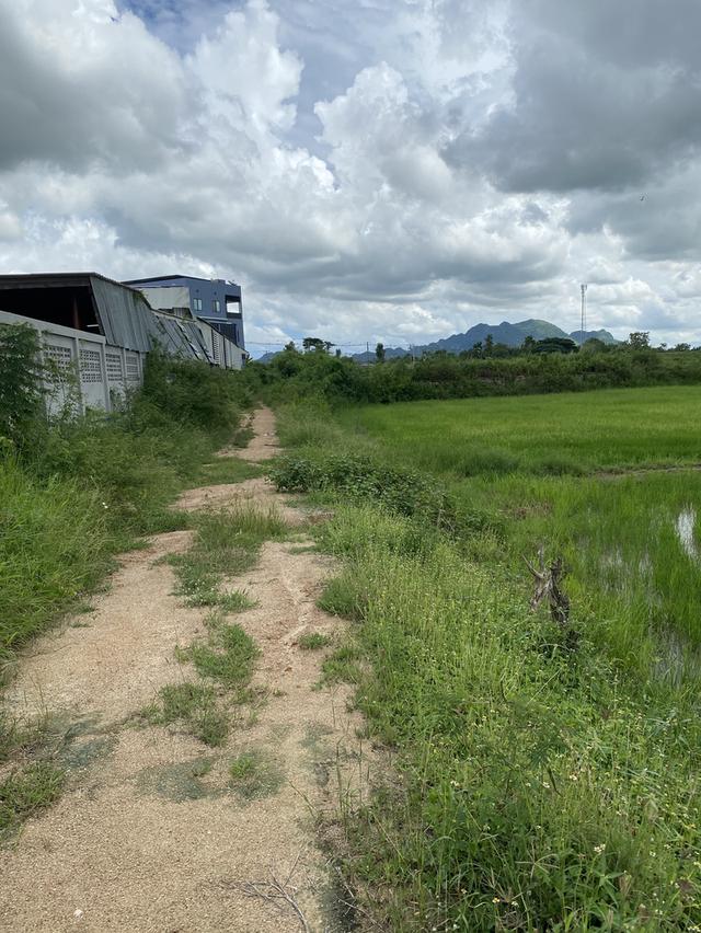 ขายที่ดินชะอำ 10-2-65 ไร่ ราคาไร่ละ 2,500,0000 ล้านบาท ใกล้ถนนเพชรเกษม 100ม. ห่างจากทะเลชะอำ 10 กม 10