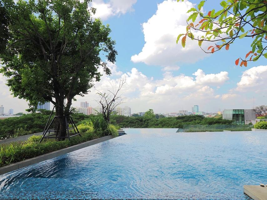 ขายคอนโดหรูติดแม่น้ำเจ้าพระยา 333 Riverside คอนโด – บางโพ / บางซื่อ 18