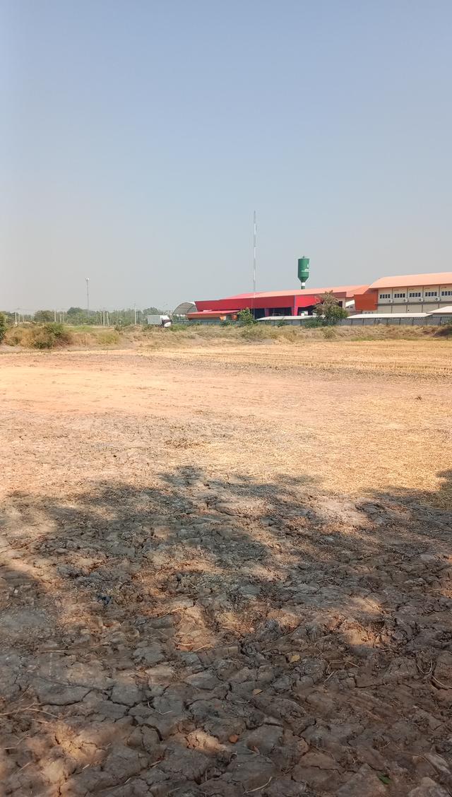 ที่ดินสวย แบ่งแปลง ที่อยู่อาศัย ราคาเหมาะสมกับสถานที่ตั้ง ใกล้โรบินสัน สุพรรณ มีสถานที่ออกกำลังกาย 2