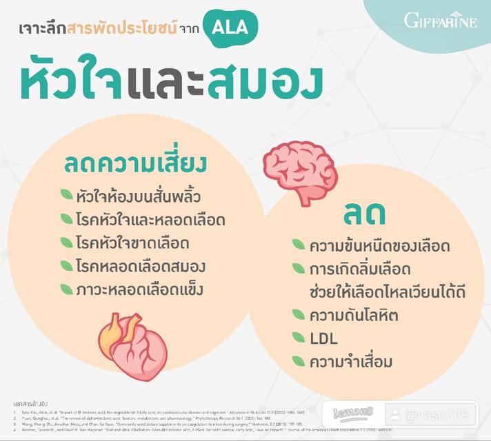 ALA โอเมก้า 3 จากพืช 4