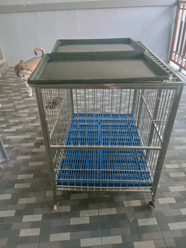 กรงสุนัขมือสอง สภาพดีมาก ใช้งานมาแค่ 15 วัน รูปย่อยที่ 1