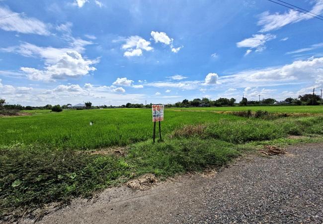 ขายที่ดิน คลอง 6 หนองเสือ ถนนเลียบคลองหก อำเภอคลองหลวง ปทุมธานี เนื้อที่ 2 ไร่ 5
