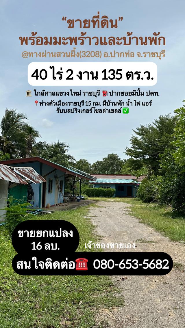 ขายที่ดิน ปากท่อ ราชบุรี 40 ไร่ 2